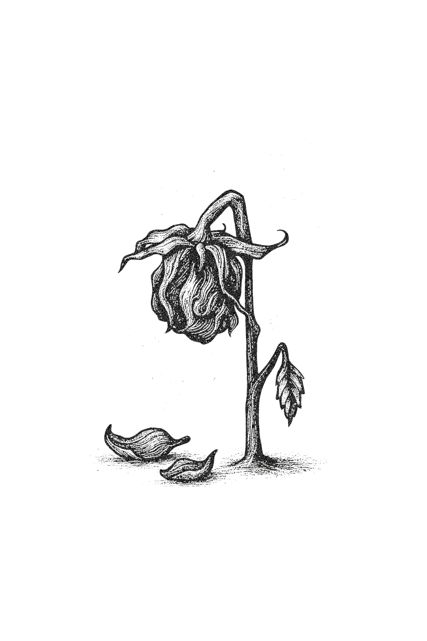 Confessin' Gentle Tee